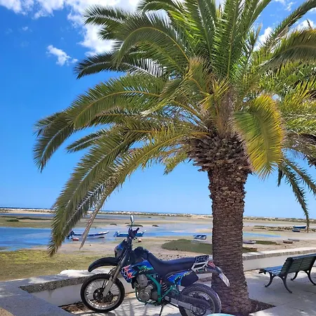 Holiday home Nettes In Altura Mit Gepflegtem Garten Castro Marim